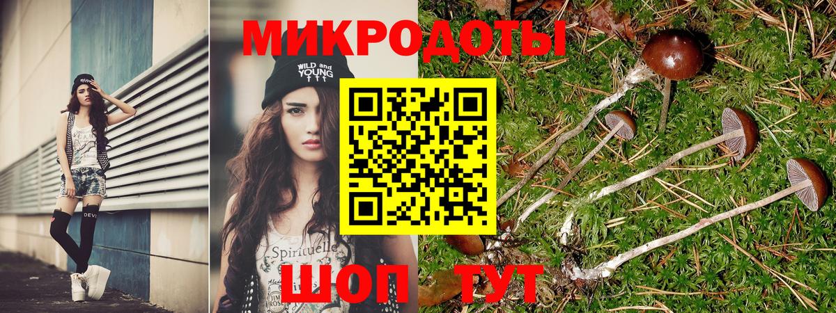 Псилоцибиновые грибы мицелий Азнакаево