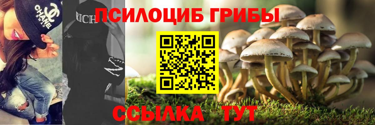 Азнакаево  Псилоцибиновые грибы Psilocybe  Галлюциногенные грибы мухоморы  Вход с VPN 